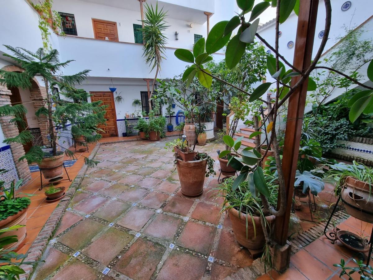 Apartamento De Estreno En Los Patios Tipicos De San Basilio Cordoba Luaran gambar